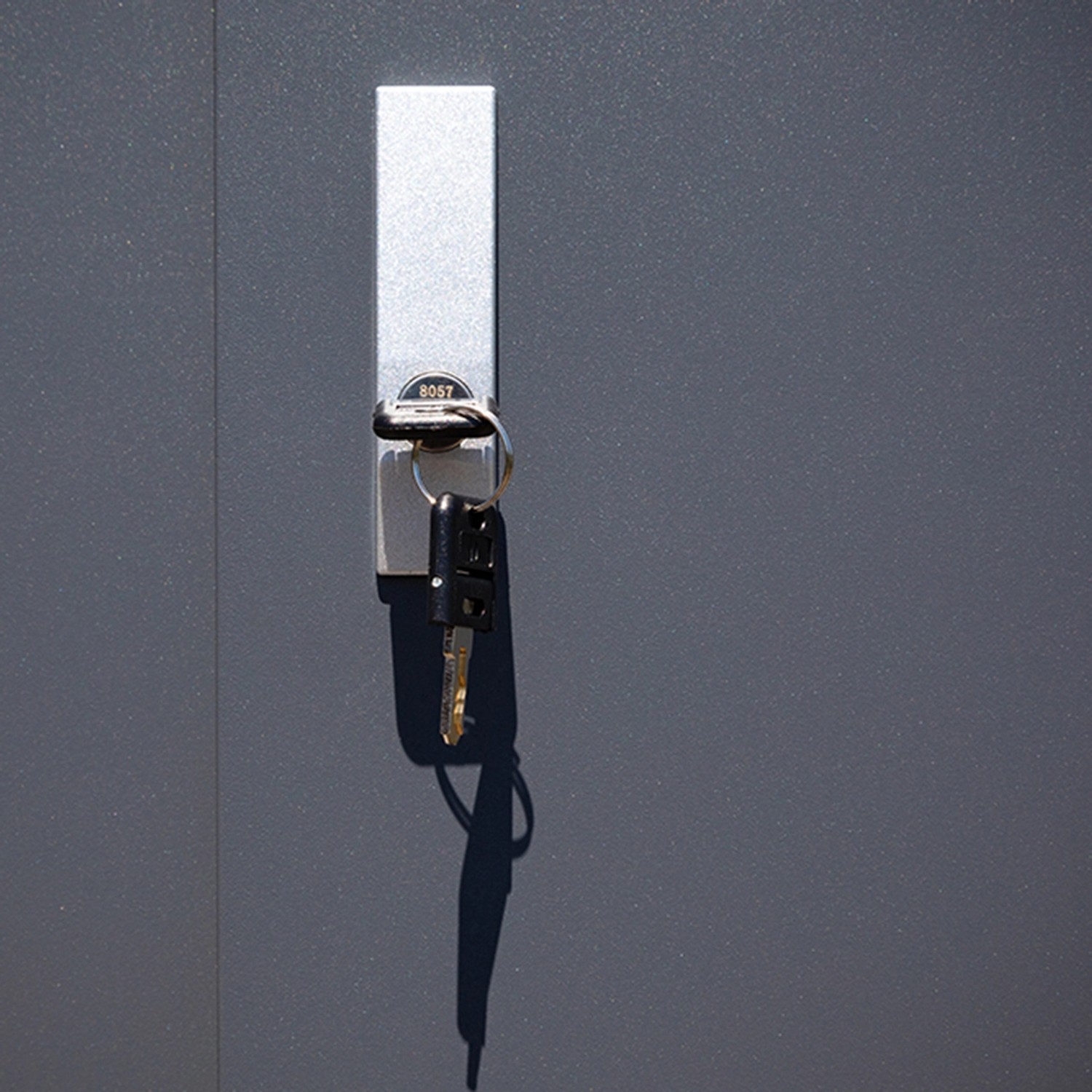 Schlüssel im Schloss des Trimetals Geräteschuppen Guardian, Detailaufnahme.