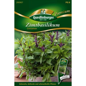 Quedlinburger Zimt-Basilikum "Cinnamon" Loses Saatgut