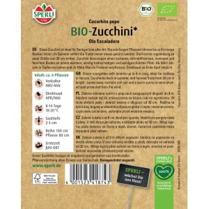 Sperli Bio Kletterzucchini Ola Escaladora Samenpackung, grüne Zucchini auf der Packung abgebildet.