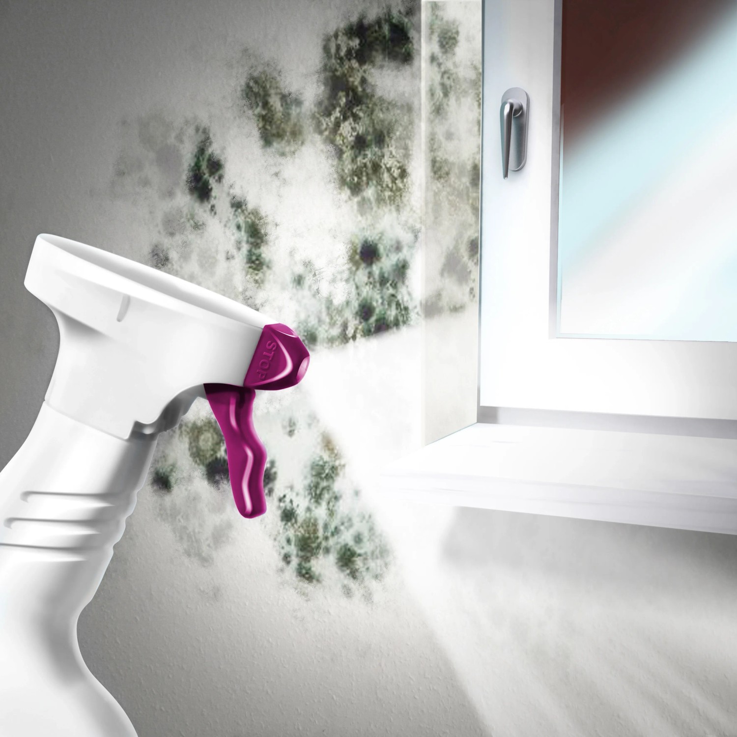 Anwendung von MEM Schimmel-Entferner auf einer Wand mit Schimmelbefall. Bauabdichtung.