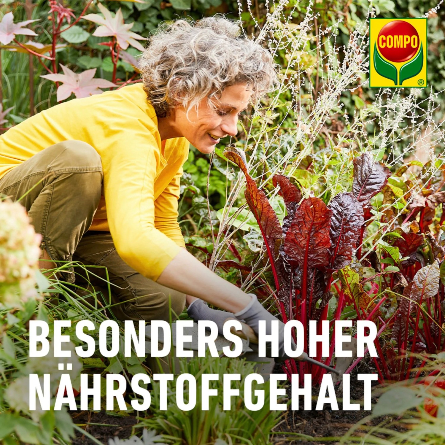 Compo BIO Blaudnger 4 kg kaufen bei OBI