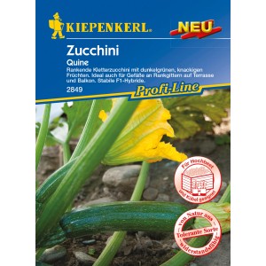 Kiepenkerl Profi-Line Zucchini Quine Samen mit Zucchini und gelber Blüte.
