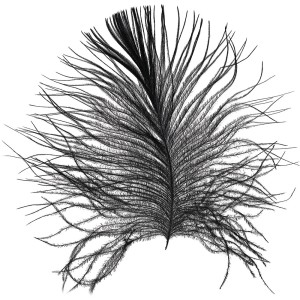 Wandbild Feder in Weiß, 30x40 cm. Dekorative Feder für Ihr Zuhause.