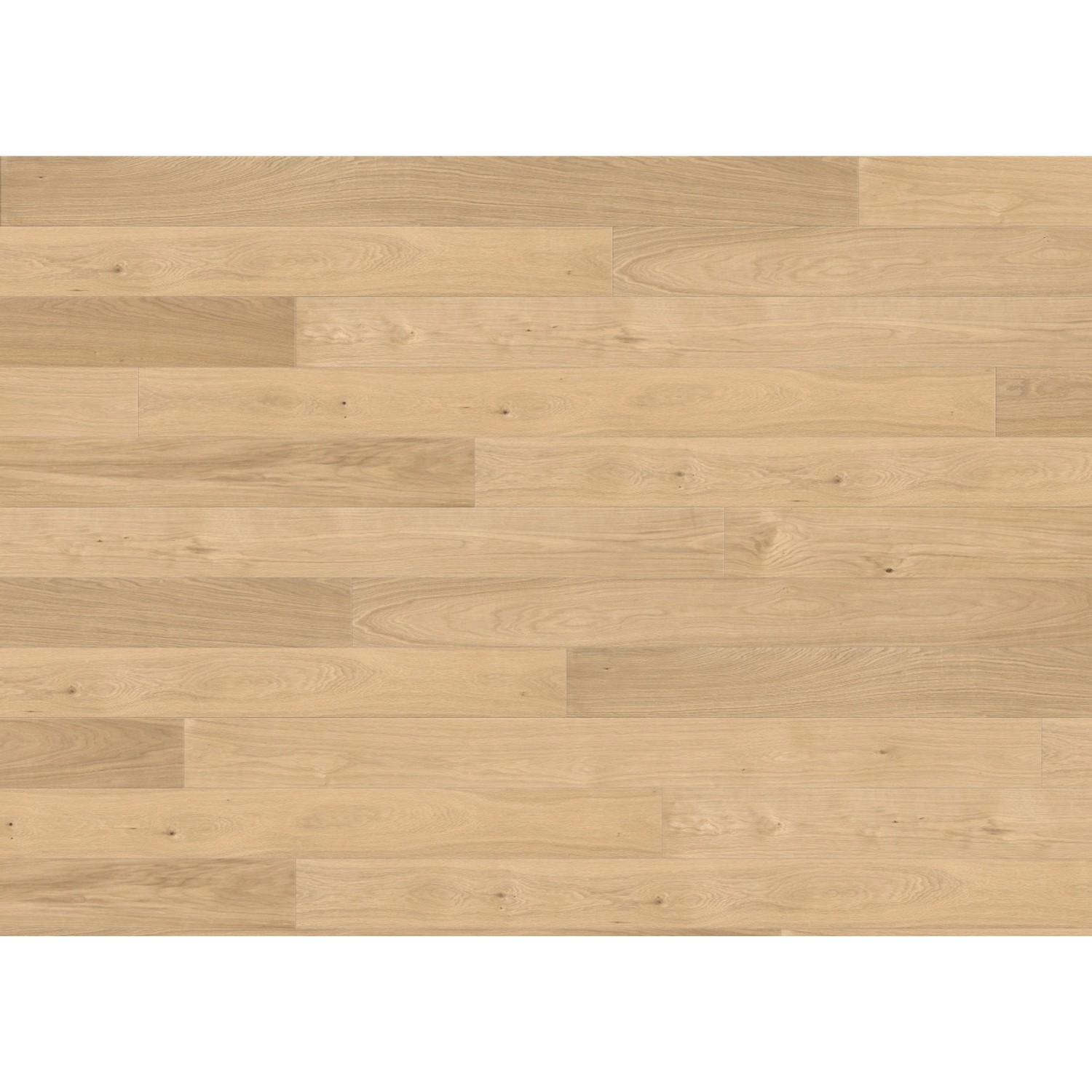 Living by Haro Parkett Eiche Classic, Landhausdiele mit geölter Oberfläche und strukturierter Optik.