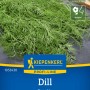 Kiepenkerl Dill Annette Saatgut: Aromatische Dillsorte für Beet und Kübel.