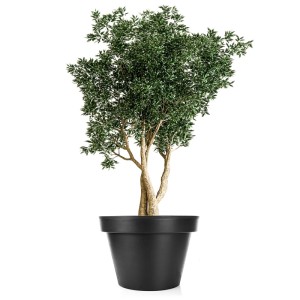 BigDean Blumentopf XXL Durchmesser 60 Cm Classic Anthrazit Mit 360 Grad Rollen Wiederverschließbarer Wasserablauf Wetterfester Kunststoff Pflanzkübel