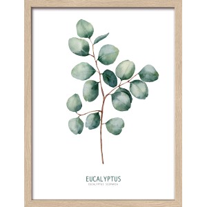 Gerahmtes Bild mit Eukalyptus-Zweig, 42,5x32,5 cm. Wanddeko für ein gemütliches Zuhause.