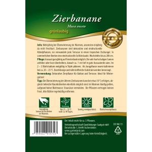 Samentüte Quedlinburger Zierbanane, dekorative Blattschmuckpflanze für tropisches Flair.