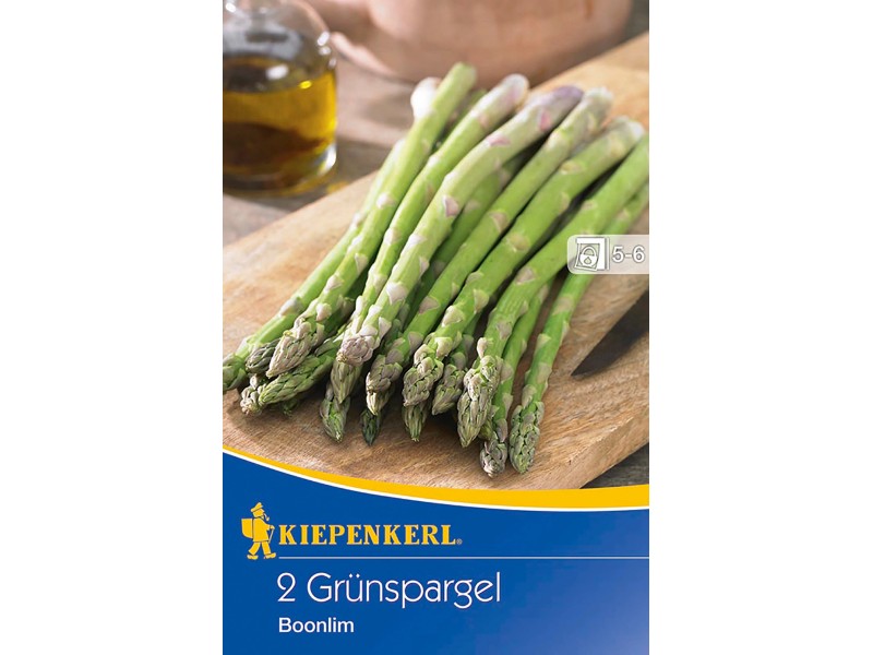 Kiepenkerl Grünspargel "Boonlim" 2 Stück Asparagus officinalis kaufen