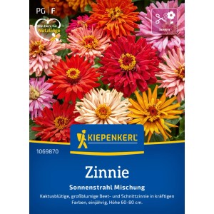 Kiepenkerl Zinnie Sonnenstrahl-Mischung: farbenfrohe Zinnien Blüten in verschiedenen Farben.