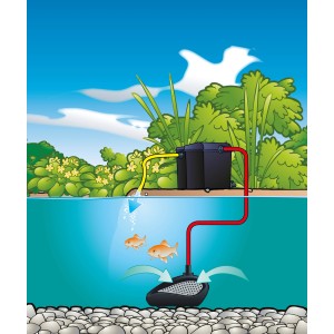 Ubbink Smartmax 1500Fi Filterpumpe im Teich mit Fischen und Pflanzen.