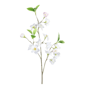 Dekorativer Kirschblütenzweig in Creme, 60 cm, für frühlingshafte Deko-Ideen.