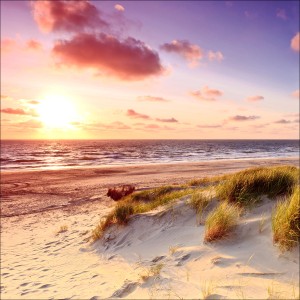 Leinwandbild Sea Harmony (50x50 cm): Sonnenuntergang am Strand mit Dünen und Meer.