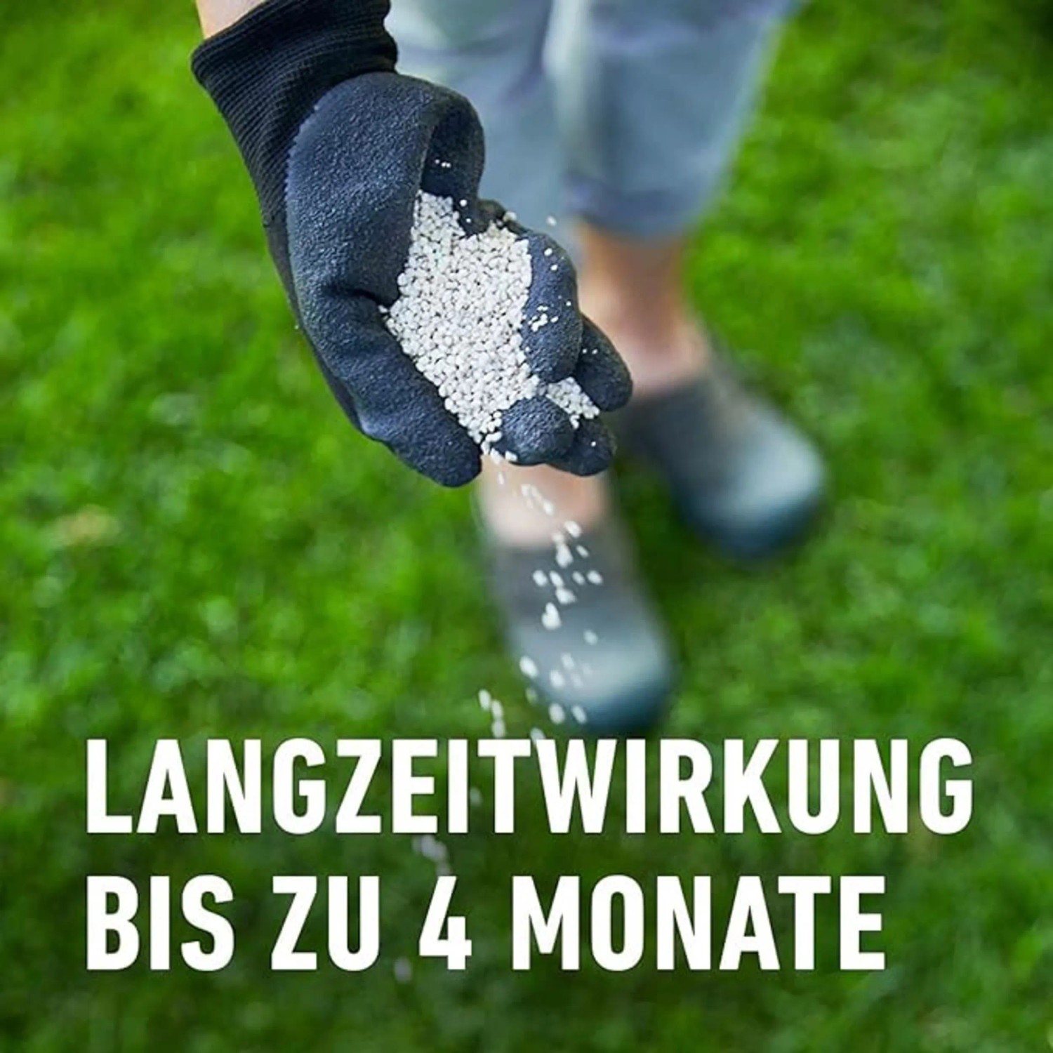 Compo Rasen-Langzeitdnger 3 kg kaufen bei OBI