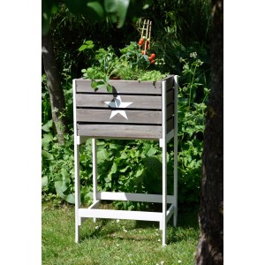 Anthrazitfarbenes Dobar Hochbeet Obstkiste aus Holz mit weißem Stern und Bepflanzung.