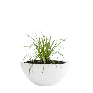 Pflanzwerk Pflanzschale Bowl Premium Frostbeständig Lotus-Effekt 45 cm Weiß