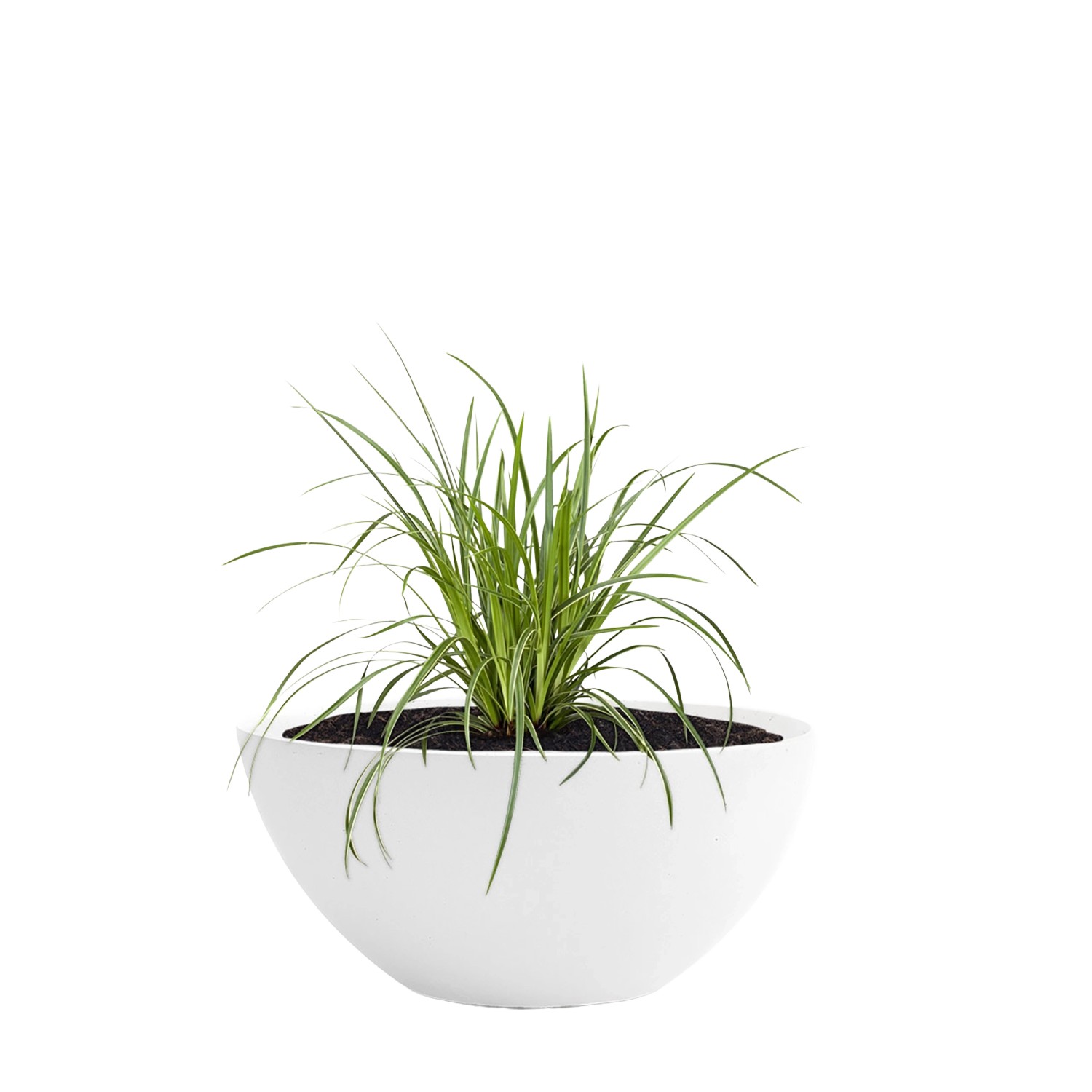 Pflanzwerk Pflanzschale Bowl Premium Frostbeständig Lotus-Effekt 45 cm Weiß_2