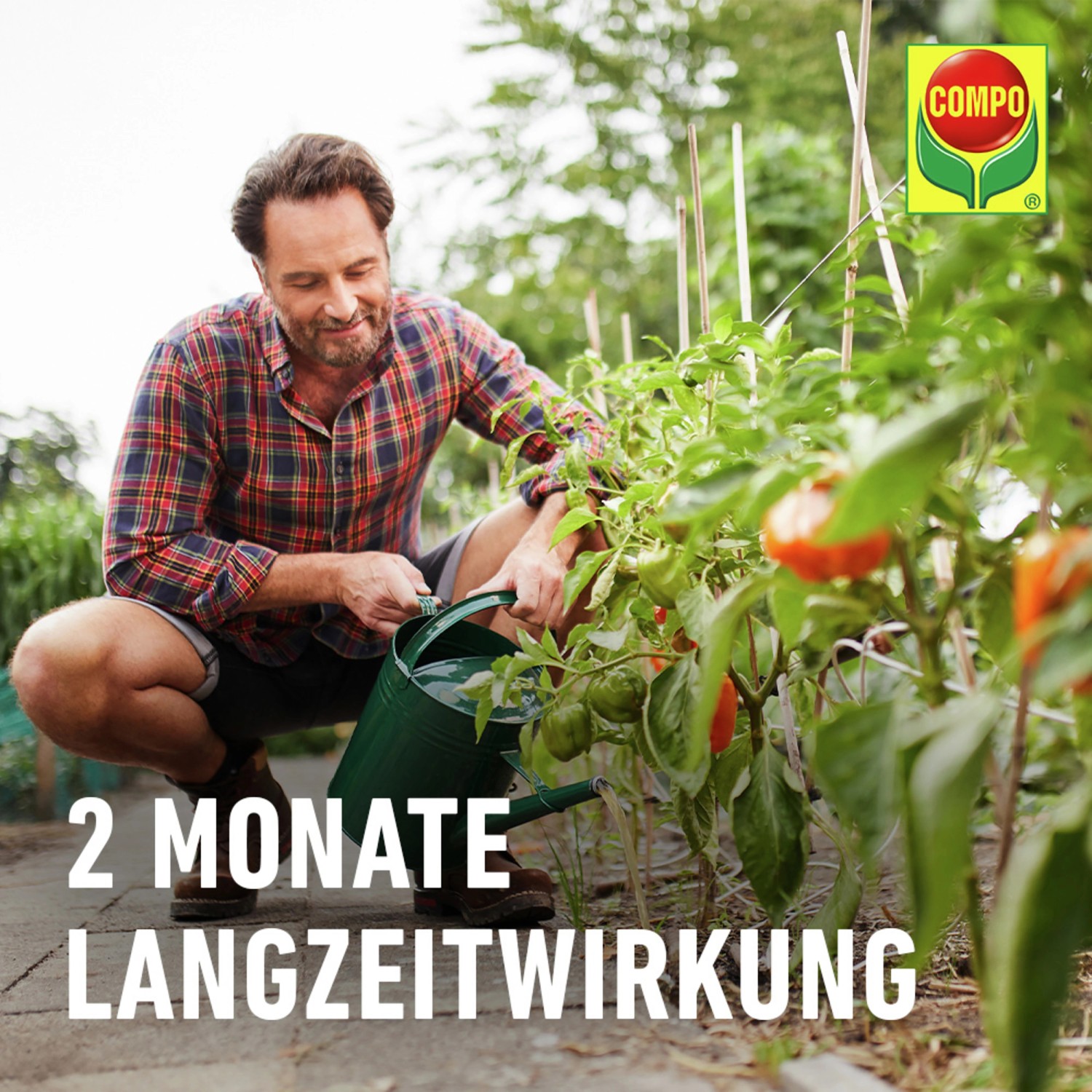 Compo Bio Tomaten- und Gemüse Düngestäbchen 20 Stäbchen_4