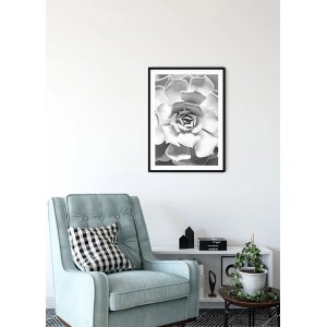Komar Wandbild: Nahaufnahme einer Sukkulente, 30x40 cm, Schwarz-Weiß-Optik.