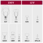 Übersicht verschiedener Lampensockel: E27, E14, GU4, G4, GU10, COIN, G9, GU5.3, GY6.35 für 230V und 12V.