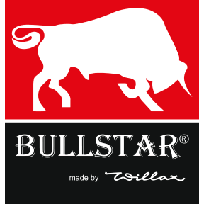Bullstar logo link