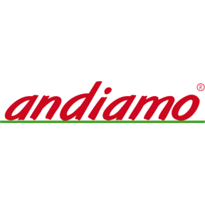 Andiamo logo link